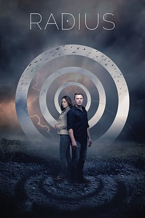 Radius (2017) Hindi Dual Audio 300MB